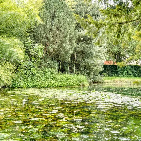 Azzuro Avec Jacuzzi Lit Rond Et Jardin Avec Piscine Bed & Breakfast Saint-Martial-sur-Ne